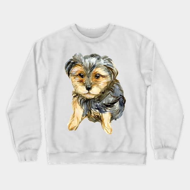 Yorki Crewneck Sweatshirt by Soll-E